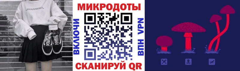 Купить  Липецк  Галлюциногенные грибы Psilocybine cubensis 